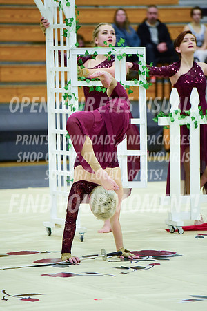 2019-WGI-Skyview-StHelens-152