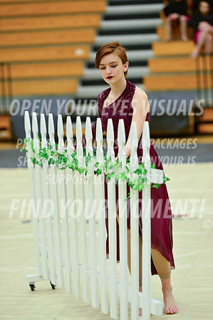 2019-WGI-Skyview-StHelens-186