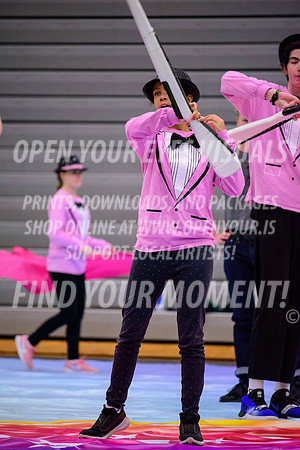2019-NWAPA-Sherwood-BeavertonStarsExhibition-A-120
