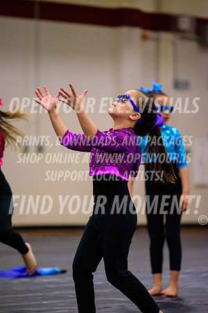 2019-NWAPA-Sherwood-HillsboroMinis-A-058