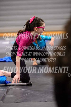 2019-NWAPA-Sherwood-HillsboroMinis-B-008