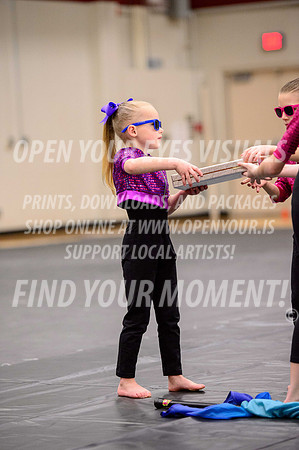 2019-NWAPA-Sherwood-HillsboroMinis-B-009