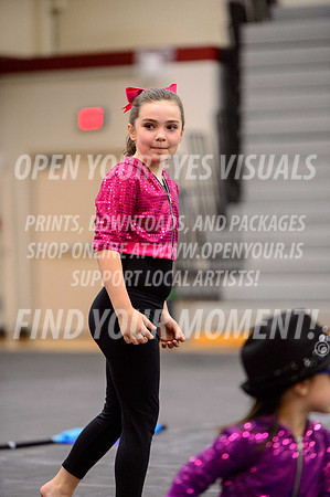 2019-NWAPA-Sherwood-HillsboroMinis-B-100