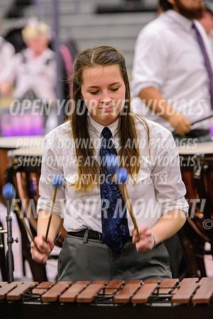 2019-WGI-GrandTerraceHS-ValhallaHS-121