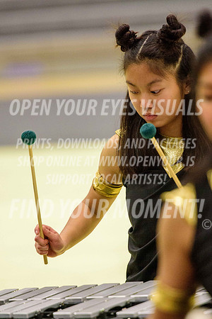 2019-WGI-GrandTerraceHS-TorranceHS-073