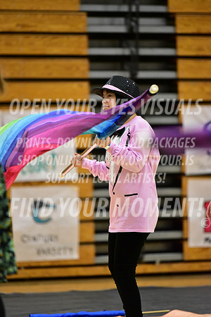 2019-NWAPA-Liberty-BeavertonStarsExhibition-052