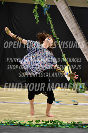 2019-NWAPA-Liberty-SkyviewSA-026