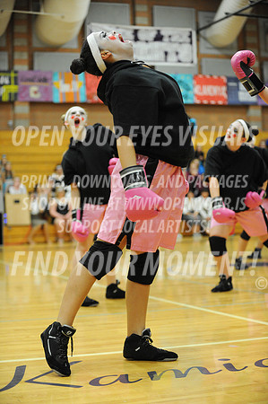 2014-OYEV-NWPA-Kamiak-SkyviewExhibition-63