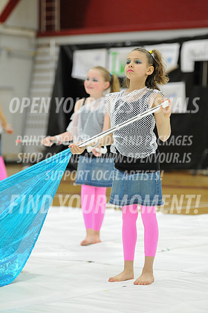 2014-OYEV-NWPA-Championships-RhapsoWiggles-14