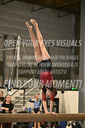 2025-RealmClassic-Saturday-Session8-Gold_Adult-Beam-AppleCapital-BH-0042