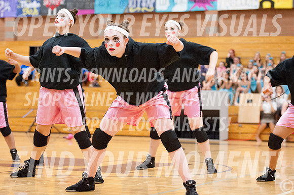 2014-OYEV-NWPA-Kamiak-SkyviewExhibition-49