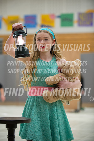 2015-Bainbridge-NorthKitsap-35