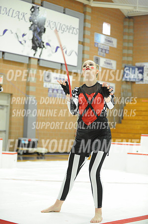 2014-OYEV-NWPA-Kamiak-Skyview-33