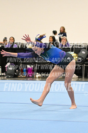 2025-NextEra-Friday-GymB-Platinum-GymnasticsConnection-BH-0039
