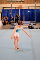 2024-RealmClassic-S2-High Flight Gymnastics-Floor-KG-118