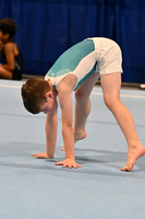 2024-RealmClassic-S1-High Flight Gymnastics-Floor-KG-206