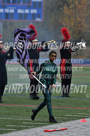 2021-Bandemic-Cascade HS-KG-113