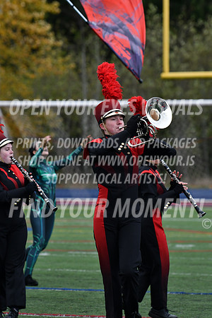 2021-Bandemic-Cascade HS-KG-173