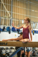 Apple Capital Gymnastics