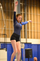 Bainbridge Island Gymnastics Center