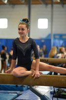 Gymnastics Unlimited