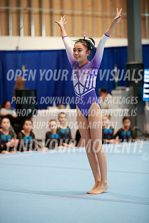 2024-RealmClassic-S11-GymnasticsConnection-Floor-JK-035