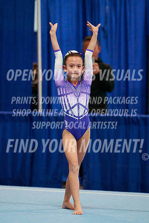 2024-RealmClassic-S11-GymnasticsConnection-Floor-JK-046