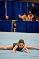 2024-RealmClassic-S8-Mid-Columbia Gymnastics Academy-Floor-KG-306