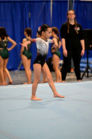 Olympic Gymnastics Center