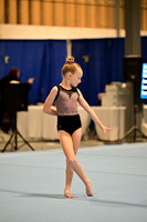 Peak Gymnastics