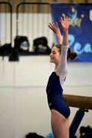 Bainbridge Island Gymnastics Center