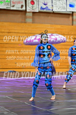 2024-NWAPA Kamiak-KG-Rhapsody-126