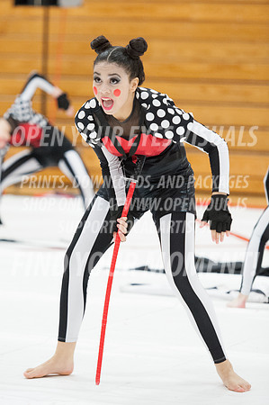 2014-OYEV-NWPA-Kamiak-Skyview-7