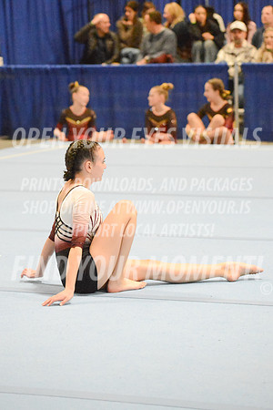 2025-RealmClassic-Saturday-Session8-Gold_Adult-Floor-Olympic-JJ-0041