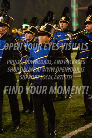 2019-Auburn-Show-Ferndale-073