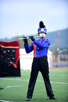 Auburn Mountainview