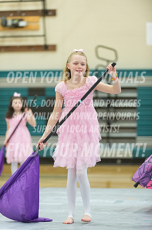 2015-BonneyLake-HillsboroMinis-38