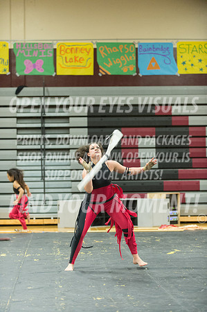 2015-Glencoe-SouthridgeDanceAndGuardEnsemble-41