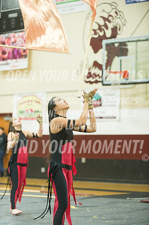2015-Glencoe-SouthridgeDanceAndGuardEnsemble-55