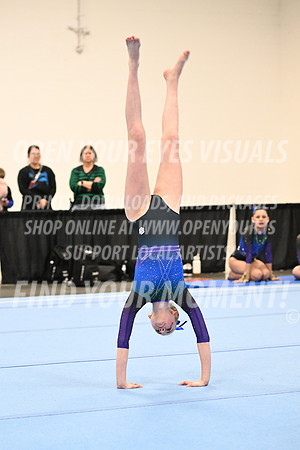 2025-NextEra-Friday-GymB-Platinum-GymnasticsConnection-BH-0002