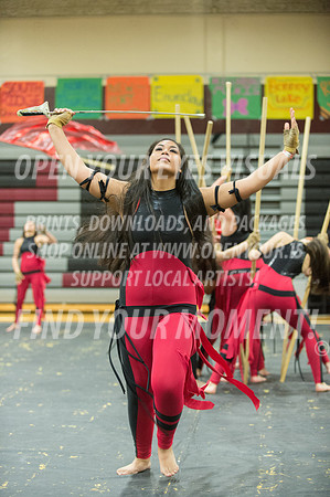 2015-Glencoe-SouthridgeDanceAndGuardEnsemble-30