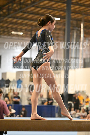 2025-RealmClassic-Saturday-Session8-Gold_Adult-Beam-Bothell-BH-0043