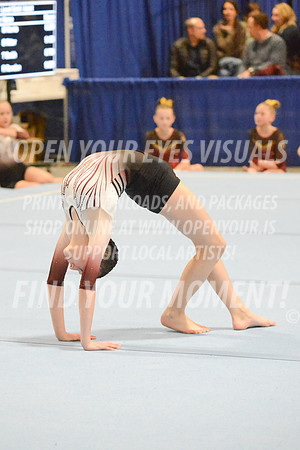 2025-RealmClassic-Saturday-Session8-Gold_Adult-Floor-Olympic-JJ-0042