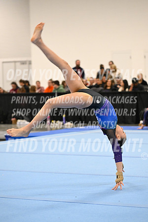 2025-NextEra-Friday-GymB-Platinum-GymnasticsConnection-BH-0078