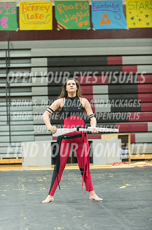 2015-Glencoe-SouthridgeDanceAndGuardEnsemble-39