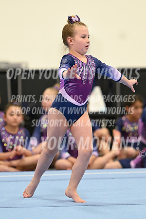2025-NextEra-Saturday-GymB-Bronze-BlackHills-BH-0050