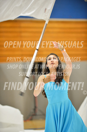 2014-OYEV-Kitsap2014-Eurythmic-6