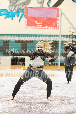2015-BonneyLake-Skyview-21