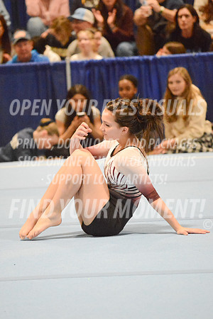 2025-RealmClassic-Saturday-Session8-Gold_Adult-Floor-Olympic-JJ-0031
