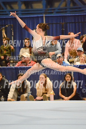 2025-RealmClassic-Saturday-Session8-Gold_Adult-Floor-Olympic-JJ-0013